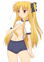 mahou_shoujo_lyrical_nanoha_-_lanyok_00626.jpg